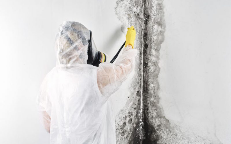 5 DIY Steps to Assess for Home Mold